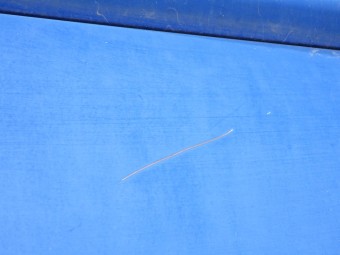 サムネイル 23枚目