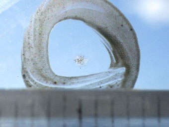 サムネイル 15枚目