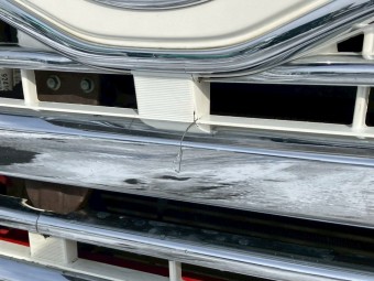 サムネイル 20枚目