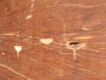 サムネイル 34枚目