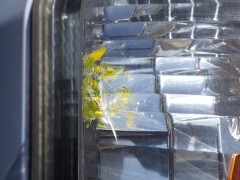 サムネイル 29枚目