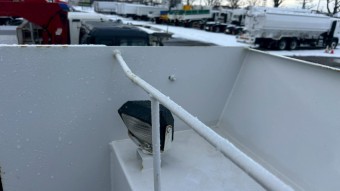 サムネイル 13枚目