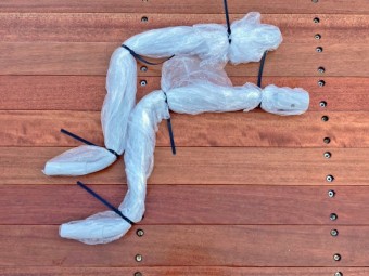 サムネイル 22枚目