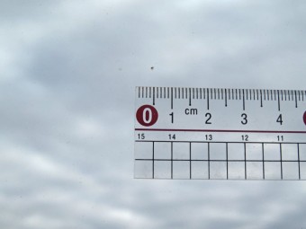 サムネイル 20枚目