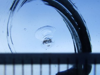 サムネイル 13枚目