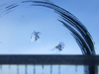 サムネイル 14枚目