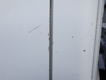 サムネイル 19枚目