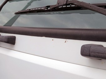 サムネイル 30枚目