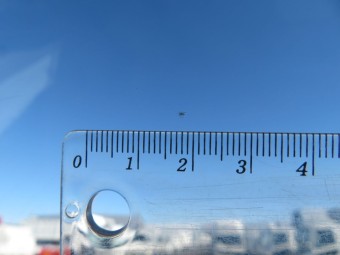 サムネイル 12枚目