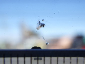 サムネイル 13枚目