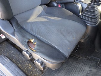 サムネイル 42枚目