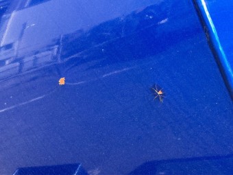 サムネイル 19枚目