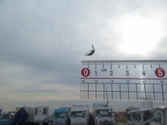 サムネイル 21枚目