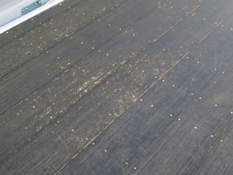 サムネイル 17枚目