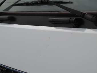 サムネイル 30枚目