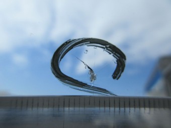 サムネイル 16枚目