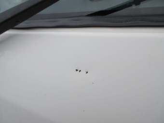 サムネイル 24枚目