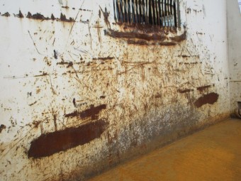 サムネイル 37枚目