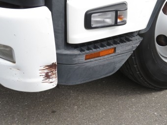 サムネイル 13枚目