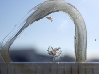 サムネイル 17枚目