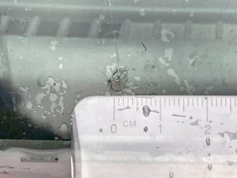 サムネイル 16枚目