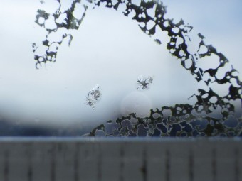 サムネイル 17枚目