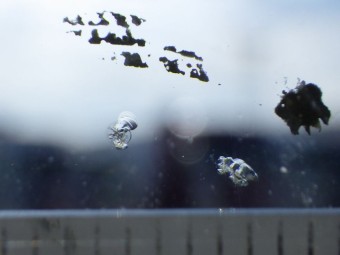 サムネイル 18枚目