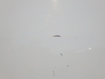 サムネイル 24枚目