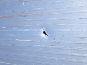 サムネイル 42枚目