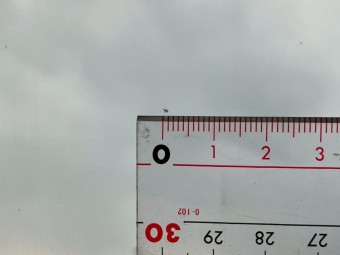 サムネイル 16枚目