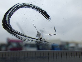 サムネイル 14枚目