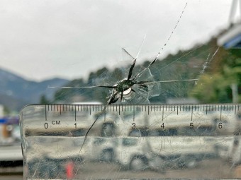 サムネイル 32枚目