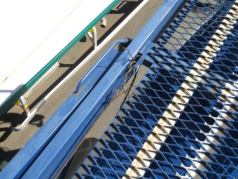 サムネイル 37枚目