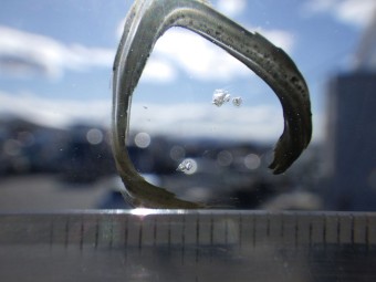 サムネイル 12枚目