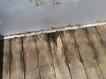 サムネイル 42枚目