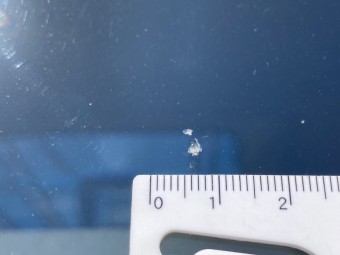 サムネイル 49枚目