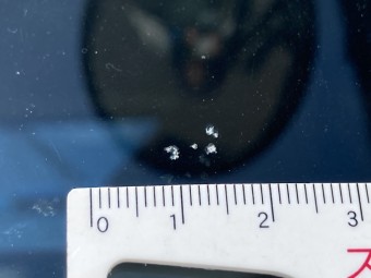 サムネイル 50枚目