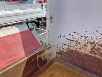 サムネイル 12枚目