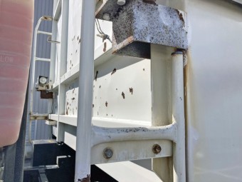 サムネイル 17枚目