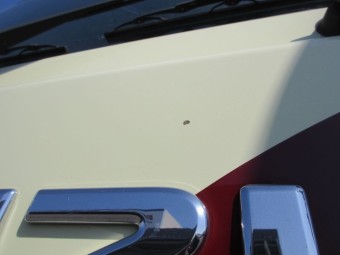 サムネイル 22枚目