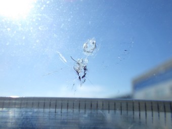 サムネイル 14枚目