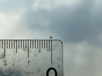 サムネイル 16枚目