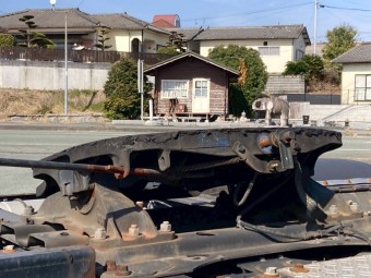 サムネイル 14枚目