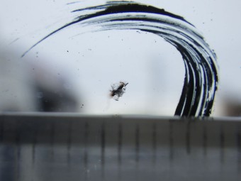 サムネイル 14枚目