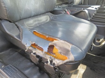 サムネイル 47枚目