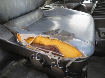 サムネイル 28枚目