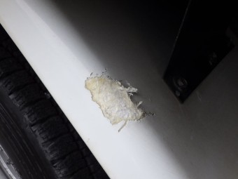 画像小 36枚目