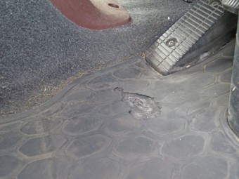 サムネイル 30枚目