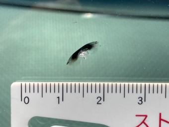 サムネイル 49枚目