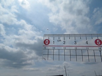 画像小 15枚目